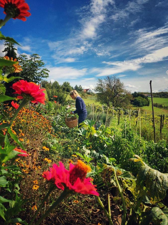 شقة Landhaus Schaller Im Suedburgenland Maria Bild المظهر الخارجي الصورة